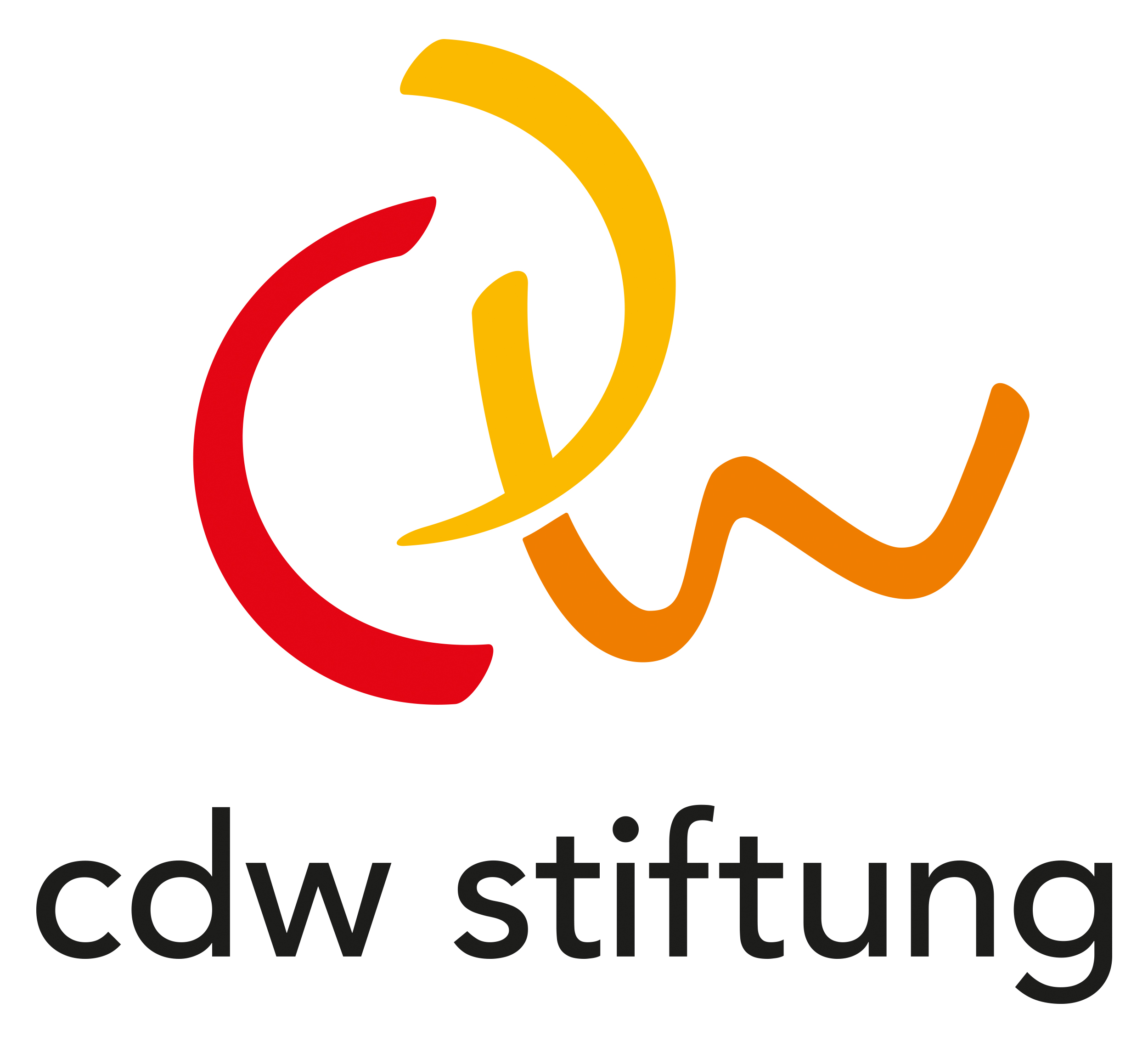 Logo cdw Stiftung